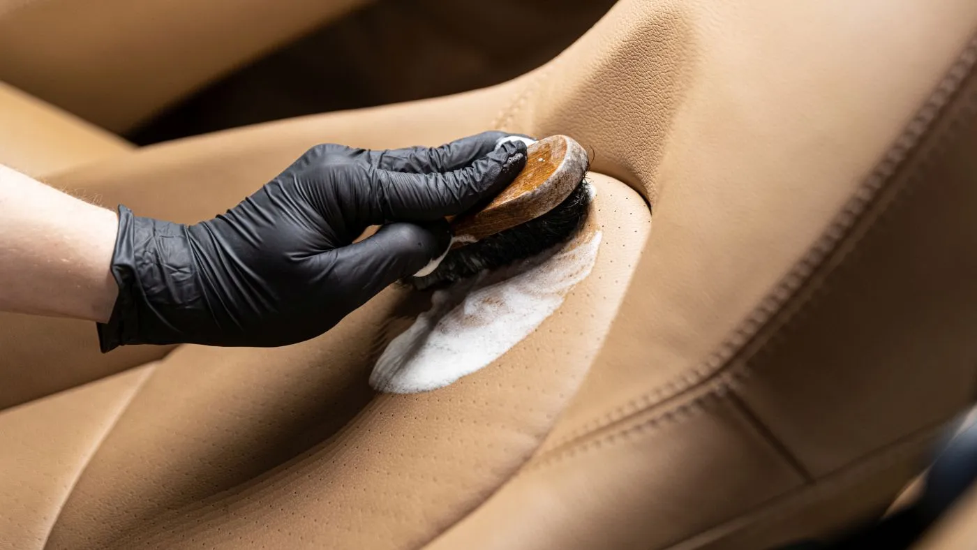 Limpieza de Tapicería en Toluca